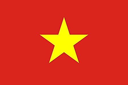 ベトナム国旗.jpg