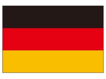 少し小さいドイツ国旗.jpg