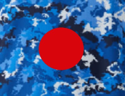 日本代表スカイコラージュ国旗.jpg