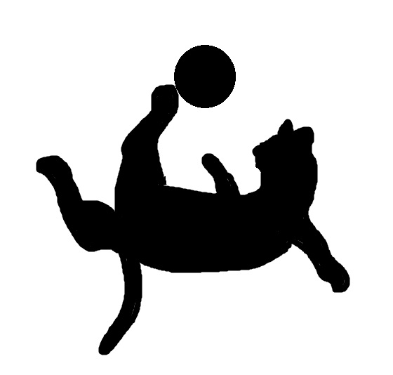 猫サッカー001012.jpg