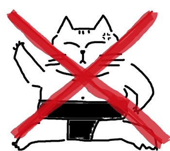 猫相撲禁止.jpg