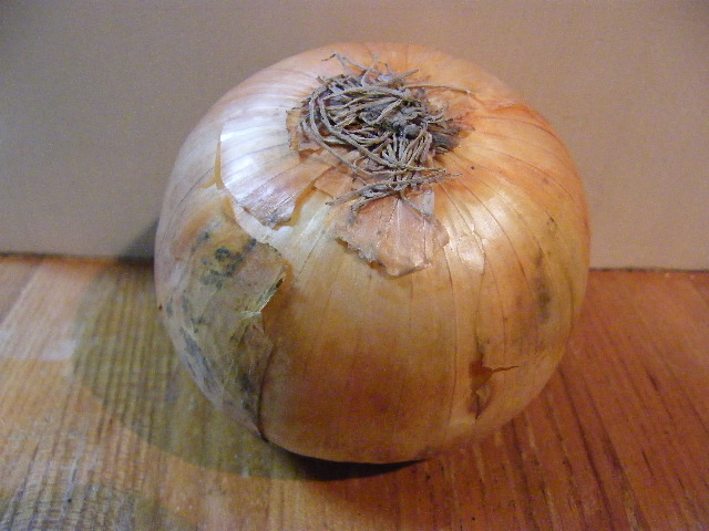onion.JPG